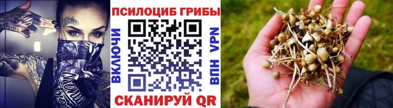 Галлюциногенные грибы Cubensis  ссылка на мегу зеркало  Верея  цена наркотик 